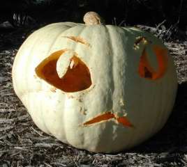 Alien 2010, Nipomo Pumpkin Patch, carving idea